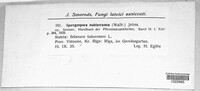 Image Associated With the Occurence